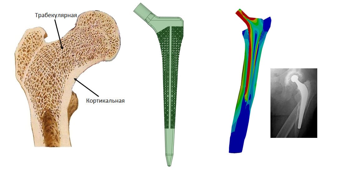 Fig5